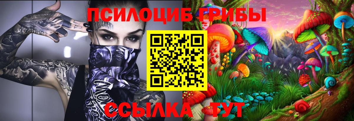 Дзержинск  где найти наркотики  Вход с VPN  Псилоцибиновые грибы Psilocybe  Галлюциногенные грибы мицелий 