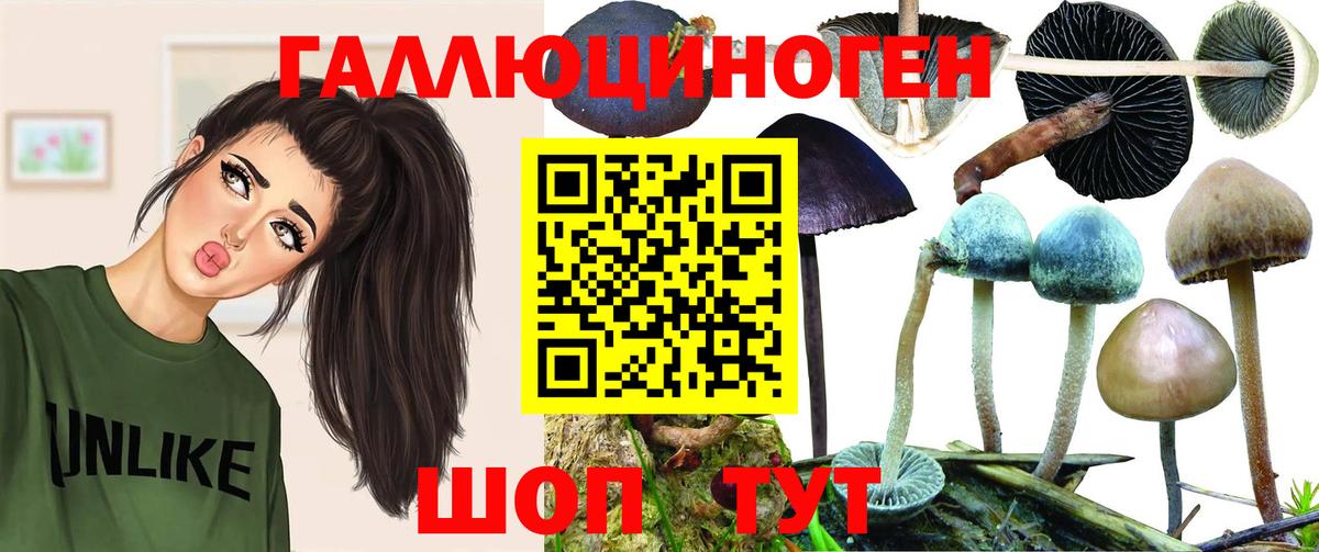 Псилоцибиновые грибы Psilocybe Дзержинск